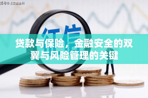 峨边贷款与保险，金融安全的双翼与风险管理的关键
