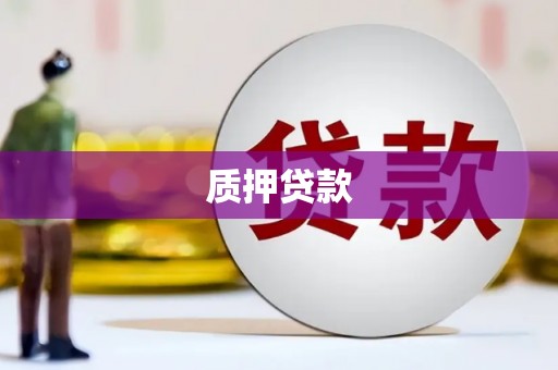 江东质押贷款