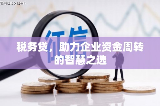 云浮税务贷，助力企业资金周转的智慧之选