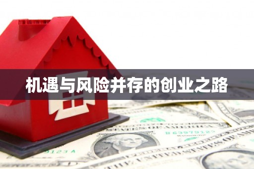 林甸机遇与风险并存的创业之路