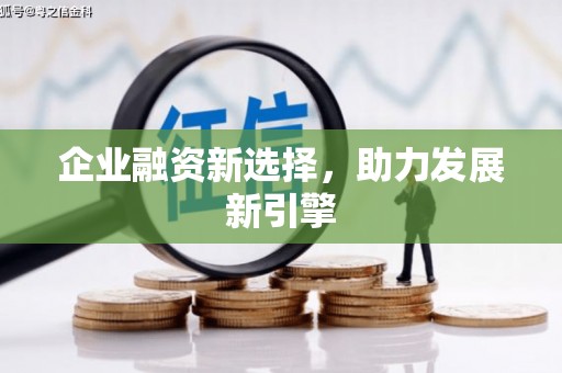 门源企业融资新选择，助力发展新引擎
