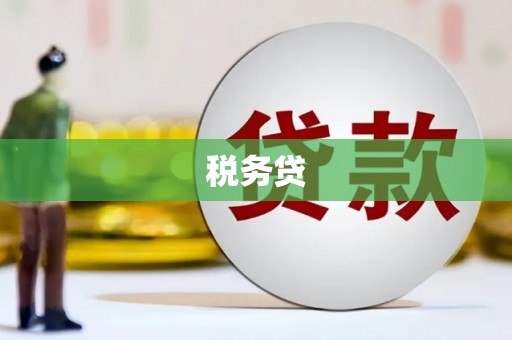 商河税务贷
