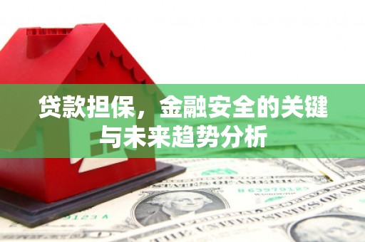 新园贷款担保，金融安全的关键与未来趋势分析