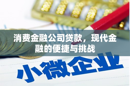 梧栖消费金融公司贷款，现代金融的便捷与挑战