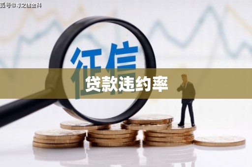 雷州贷款违约率