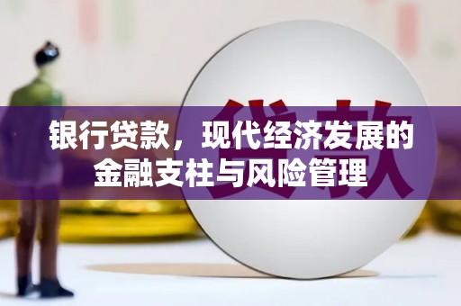 洛扎银行贷款，现代经济发展的金融支柱与风险管理