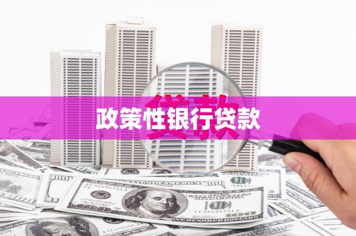 贡嘎政策性银行贷款