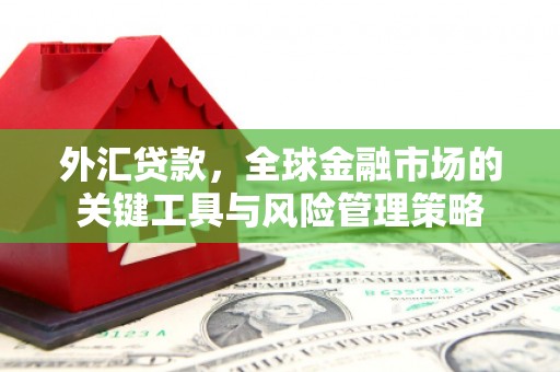 游仙外汇贷款，全球金融市场的关键工具与风险管理策略