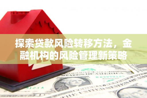 大竹探索贷款风险转移方法，金融机构的风险管理新策略
