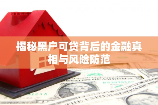 鹿泉揭秘黑户可贷背后的金融真相与风险防范