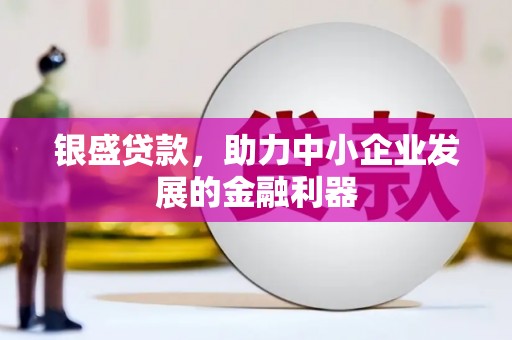 澜沧银盛贷款，助力中小企业发展的金融利器