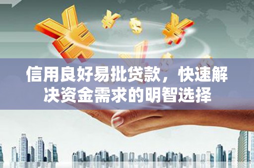 芦淞信用良好易批贷款，快速解决资金需求的明智选择
