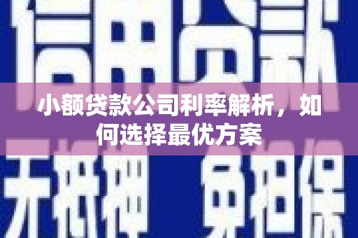平安小额贷款公司利率解析，如何选择最优方案
