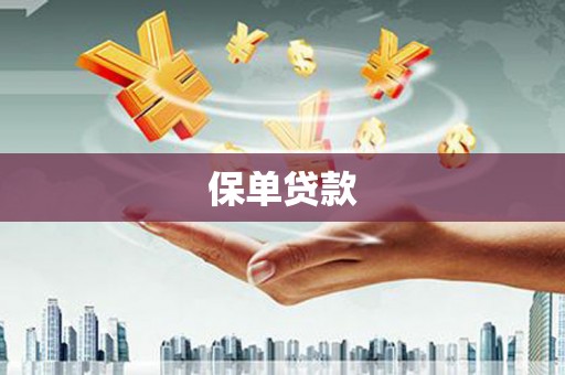 庆元保单贷款