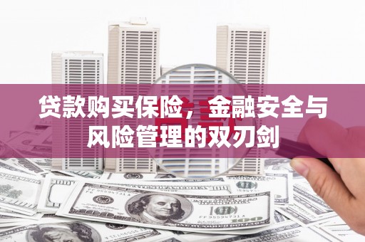 澎湖贷款购买保险，金融安全与风险管理的双刃剑