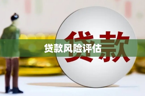 枣阳贷款风险评估
