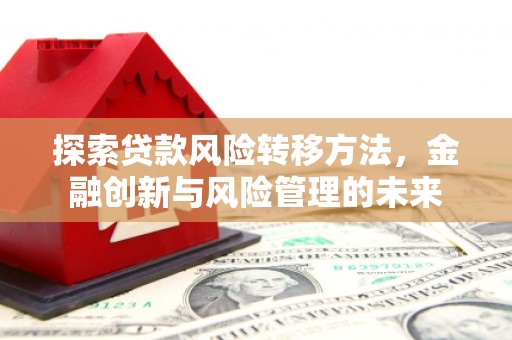 定兴探索贷款风险转移方法，金融创新与风险管理的未来