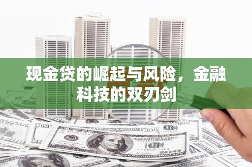 保康现金贷的崛起与风险，金融科技的双刃剑