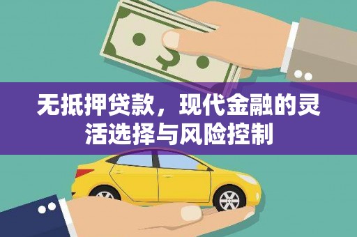 龙口无抵押贷款，现代金融的灵活选择与风险控制