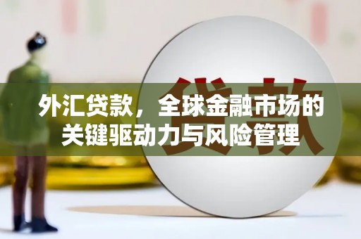 杭锦后旗外汇贷款，全球金融市场的关键驱动力与风险管理