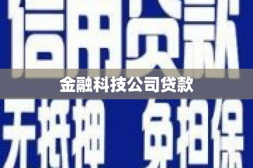 秀水金融科技公司贷款