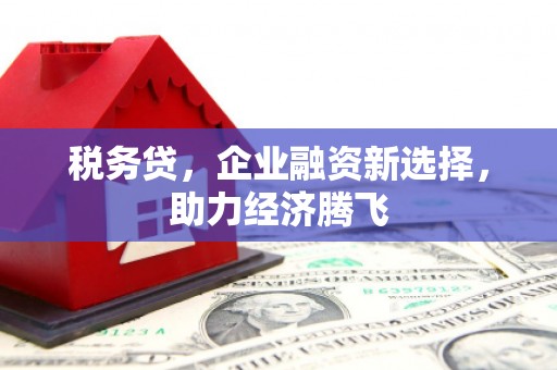 五河税务贷，企业融资新选择，助力经济腾飞