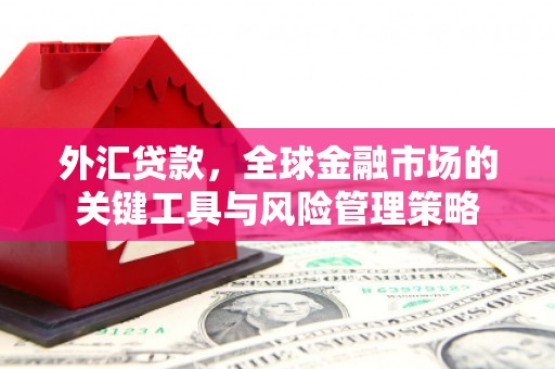 广宗外汇贷款，全球金融市场的关键工具与风险管理策略