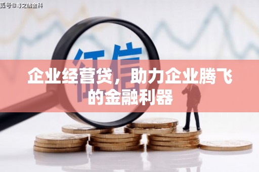 上林企业经营贷，助力企业腾飞的金融利器