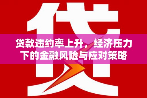 松溪贷款违约率上升，经济压力下的金融风险与应对策略
