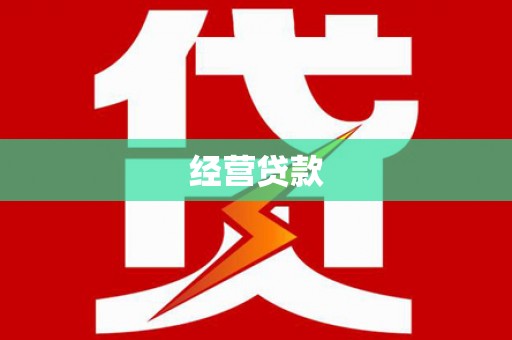 天峨经营贷款