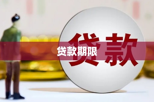 新华贷款期限