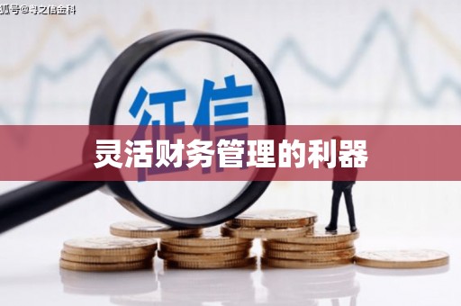 洛宁灵活财务管理的利器