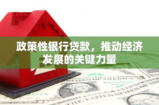 石冈政策性银行贷款，推动经济发展的关键力量