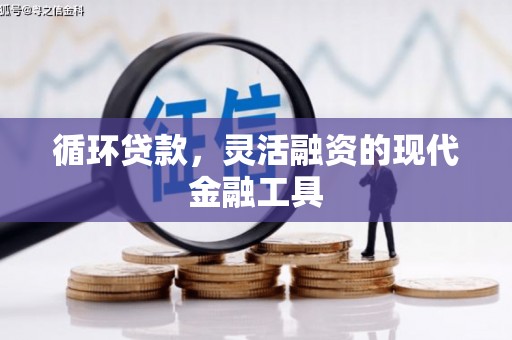 横沥循环贷款，灵活融资的现代金融工具