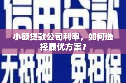 新邱小额贷款公司利率，如何选择最优方案？