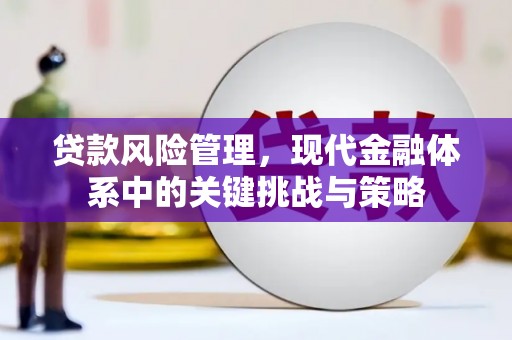 固始贷款风险管理，现代金融体系中的关键挑战与策略