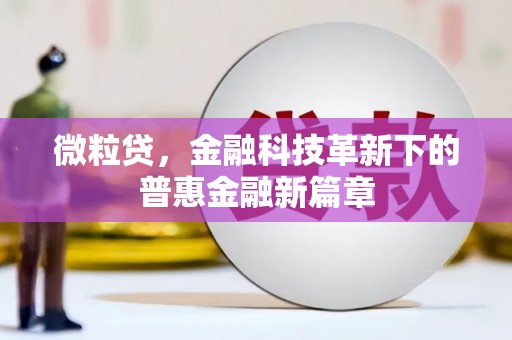 米东微粒贷，金融科技革新下的普惠金融新篇章