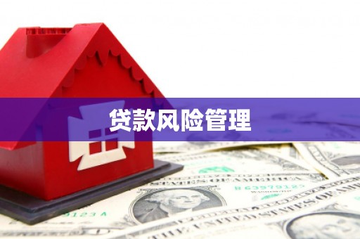 萨迦贷款风险管理