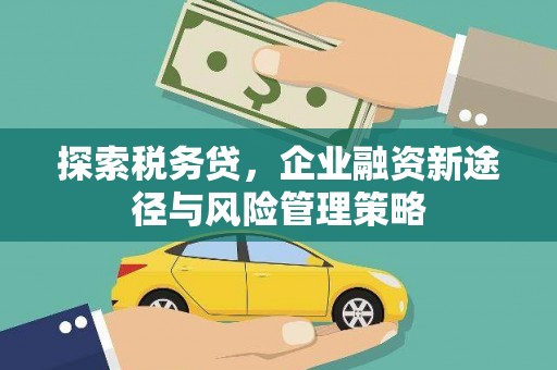 三湾探索税务贷，企业融资新途径与风险管理策略