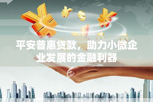 平南平安普惠贷款，助力小微企业发展的金融利器