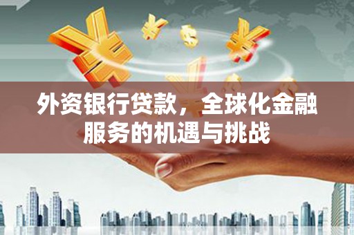 海陵外资银行贷款，全球化金融服务的机遇与挑战