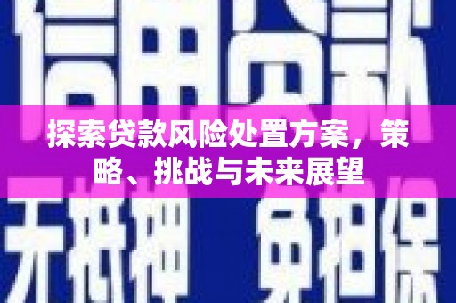 柳东探索贷款风险处置方案，策略、挑战与未来展望