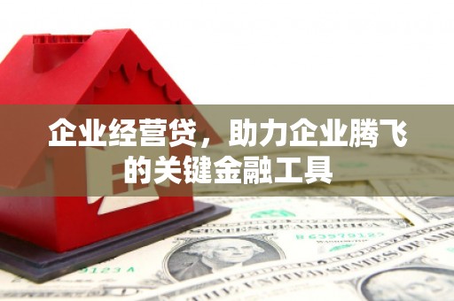 边坝企业经营贷，助力企业腾飞的关键金融工具
