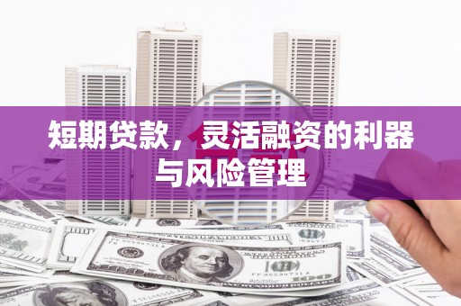 内湖短期贷款，灵活融资的利器与风险管理