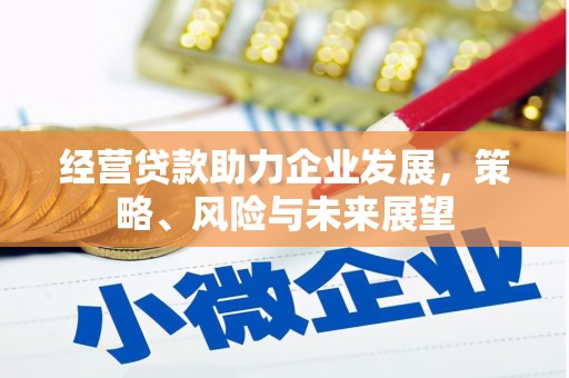 埔心经营贷款助力企业发展，策略、风险与未来展望