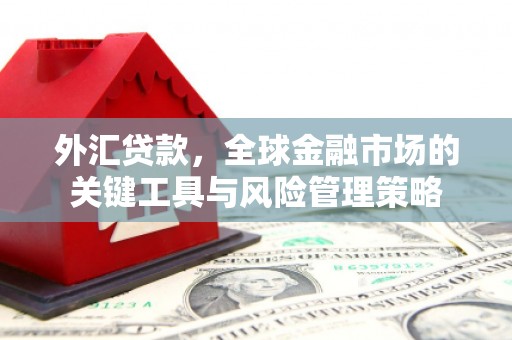 图木舒克外汇贷款，全球金融市场的关键工具与风险管理策略