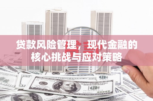 龙沙贷款风险管理，现代金融的核心挑战与应对策略