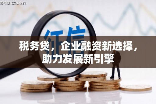 克山税务贷，企业融资新选择，助力发展新引擎