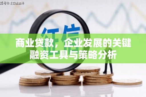 广阳商业贷款，企业发展的关键融资工具与策略分析
