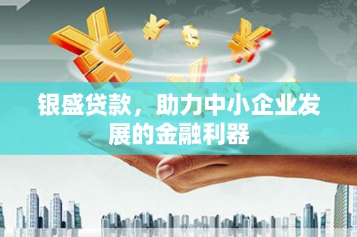 漳县银盛贷款，助力中小企业发展的金融利器